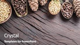  Presentation with pine cone - Cool new PPT theme with pine nuts in the spoons backdrop and a gray colored foreground