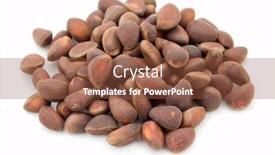  Presentation with pine - Beautiful presentation theme featuring pine nuts backdrop and a tawny brown colored foreground