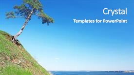  Presentation with pine - Slide set enhanced with pine on steep with wide background and a teal colored foreground