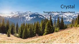  Presentation with clear sunny day rural landscape - Slide deck enhanced with pine tree - fantastic sunny day is background and a light blue colored foreground