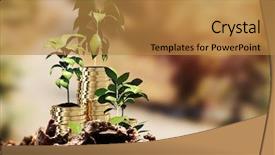  Presentation with forest road - Slide deck with pine tree 3d - close-up of garbage against road background and a  colored foreground