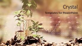  Presentation with shares - PPT layouts enhanced with pine tree 3d - close-up of garbage against stocks background and a coral colored foreground