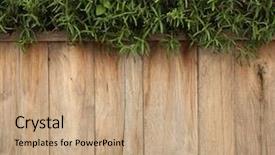  Presentation with plants - Amazing PPT theme having pine tree 3d - wooden planks with green plants backdrop and a coral colored foreground
