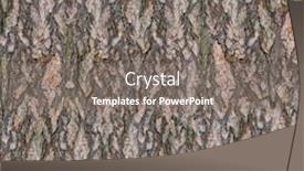  Presentation with wood texture - Colorful PPT layouts enhanced with pine-tree-bark-seamless-texture backdrop and a gray colored foreground