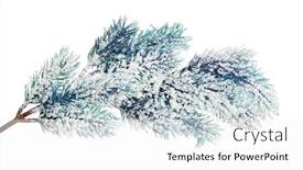  Presentation with snow tree - 