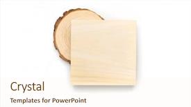  Presentation with lumber - PPT theme featuring pine tree cross-section background and a cream colored foreground