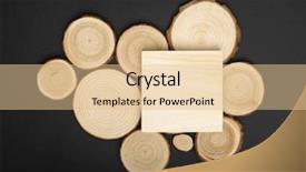  Presentation with tree rings - Slide deck with pine tree cross-sections background and a lemonade colored foreground