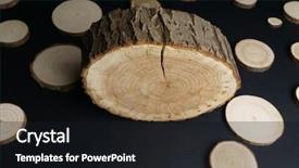  Presentation with lumber - Audience pleasing presentation design consisting of pine tree cross-sections backdrop and a black colored foreground