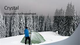  Presentation with winter landscape winter tree - Audience pleasing slide deck consisting of pine tree forest amazing winter backdrop and a light gray colored foreground