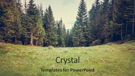  Presentation with forrest - PPT theme enhanced with pine tree forrest background and a yellow colored foreground