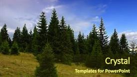  Presentation with forrest - Beautiful theme featuring pine tree forrest backdrop and a tawny brown colored foreground