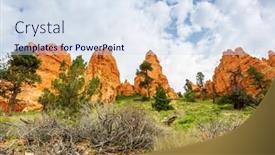  Presentation with pine trees - Colorful theme enhanced with pine-trees-and-dry-flora backdrop and a sky blue colored foreground