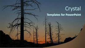  Presentation with pine trees - Cool new presentation theme with pine-trees-burned-by-2012 backdrop and a ocean colored foreground