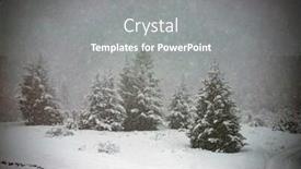  Presentation with pine trees - Audience pleasing slide set consisting of pine-trees-covered-with-hoarfrost backdrop and a gray colored foreground