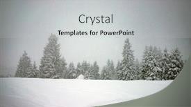  Presentation with pine trees - Presentation design featuring pine-trees-covered-with-hoarfrost background and a light gray colored foreground