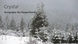  Presentation with pine trees - Cool new PPT theme with pine-trees-covered-with-hoarfrost backdrop and a light gray colored foreground