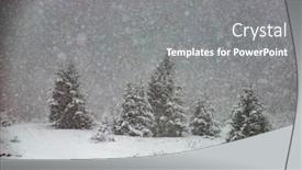  Presentation with pine trees - Slide set enhanced with pine-trees-covered-with-hoarfrost background and a gray colored foreground