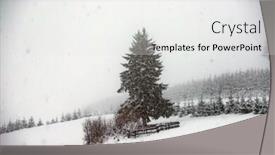  Presentation with pine trees - Amazing presentation design having pine-trees-covered-with-hoarfrost backdrop and a white colored foreground