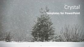  Presentation with pine trees - Beautiful slide set featuring pine-trees-covered-with-hoarfrost backdrop and a gray colored foreground