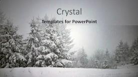  Presentation with pine trees - Slide set having pine-trees-covered-with-hoarfrost background and a light gray colored foreground