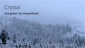  Presentation with pine trees - Audience pleasing presentation design consisting of pine-trees-covered-with-hoarfrost backdrop and a light blue colored foreground