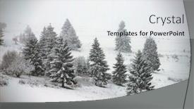  Presentation with pine trees - Presentation design enhanced with pine-trees-covered-with-hoarfrost background and a white colored foreground