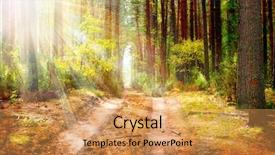  Presentation with forest - PPT theme consisting of pine trees fall - autumn forest background and a yellow colored foreground