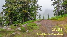  Presentation with pine trees - Presentation design enhanced with pine trees fall - fragment of foggy and rainy background and a coral colored foreground