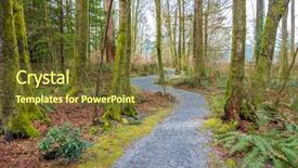  Presentation with pine trees - Beautiful PPT theme featuring pine trees fall - fragment of malcolm lowry trail backdrop and a tawny brown colored foreground