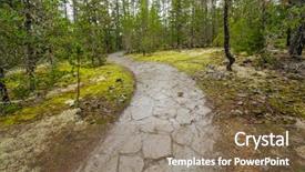  Presentation with fall lake - Presentation theme consisting of pine trees fall - fragment of nita lake trail background and a coral colored foreground