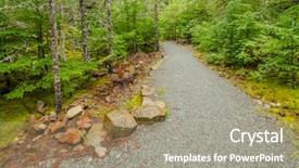  Presentation with fall lake - Presentation theme consisting of pine trees fall - fragment of nita lake trail background and a mint green colored foreground