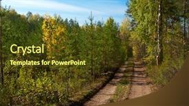  Presentation with fork road - Slides with pine trees fall - old road at autumn forest background and a  colored foreground