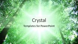  Presentation with pine trees - Amazing slides having pine trees fall - sun beaming backdrop and a mint green colored foreground