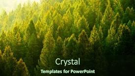  Presentation with pine trees - Presentation theme featuring pine-trees-forest-in-evening background and a wine colored foreground