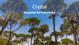  Presentation with pine trees - Colorful PPT theme enhanced with pine trees forest jezzine south backdrop and a teal colored foreground