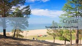  Presentation with pine trees - PPT theme consisting of pine-trees-growing background and a light blue colored foreground