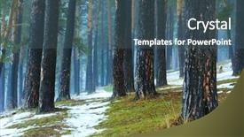  Presentation with pine forest - Slides consisting of pine trees in forest background and a ocean colored foreground