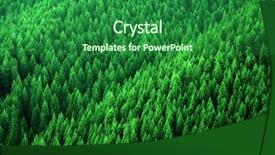  Presentation with wilderness - Presentation theme having pine trees in wilderness background and a forest green colored foreground