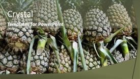  Presentation with thailand - Audience pleasing slide set consisting of pineaples-on-the-market backdrop and a gray colored foreground