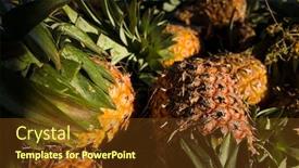  Presentation with ananas - PPT theme having pineapple-background-close-up background and a tawny brown colored foreground