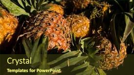  Presentation with ananas - Slides having pineapple-background-close-up background and a tawny brown colored foreground