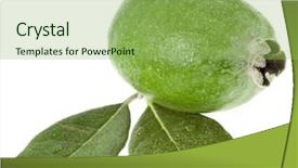  Presentation with guava - PPT theme consisting of pineapple guava feijoa sellowiana isolated background and a yellow colored foreground