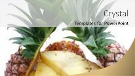  Presentation with pineapple - PPT layouts with pineapple-objects-on-white-background background and a white colored foreground
