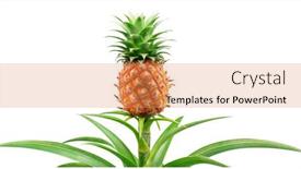  Presentation with pineapple - Theme with pineapple-on-its-parent-plant background and a  colored foreground