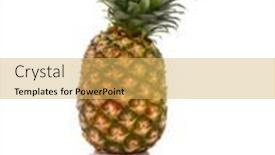  Presentation with pineapple - 