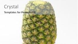  Presentation with pineapple - Presentation having pineapple-without-leaves-isolated background and a white colored foreground