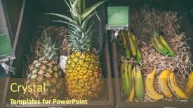  Presentation with food banana - PPT layouts consisting of pineapples-and-banana-fruits background and a tawny brown colored foreground