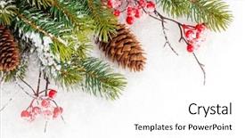  Presentation with holly - Slides enhanced with pinecones - christmas fir tree branch background and a white colored foreground