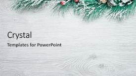  Presentation with spruce - Audience pleasing slide deck consisting of pinecones - christmas and new year's composition backdrop and a white colored foreground