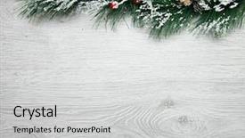  Presentation with pinecones - Beautiful theme featuring pinecones - christmas and new year's composition backdrop and a light gray colored foreground